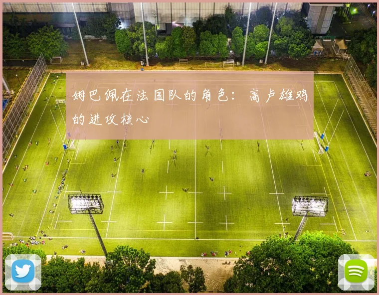姆巴佩在法国队的角色:高卢雄鸡的进攻核心